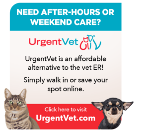 UrgentVet Contact Us Page Button1