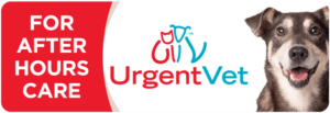 urgentvet website button